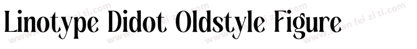 Linotype Didot Oldstyle Figures RomanI字体转换